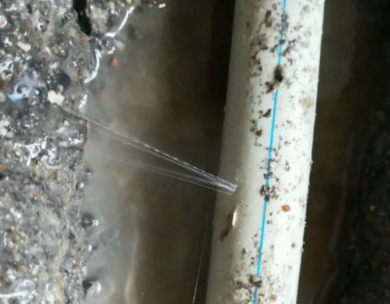 苏尼特右测漏水哪家好