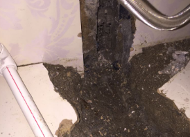苏尼特右卫生间测漏水哪家好