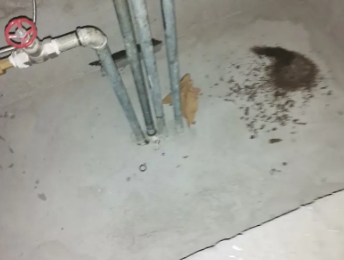 苏尼特右卫生间测漏水价格明细